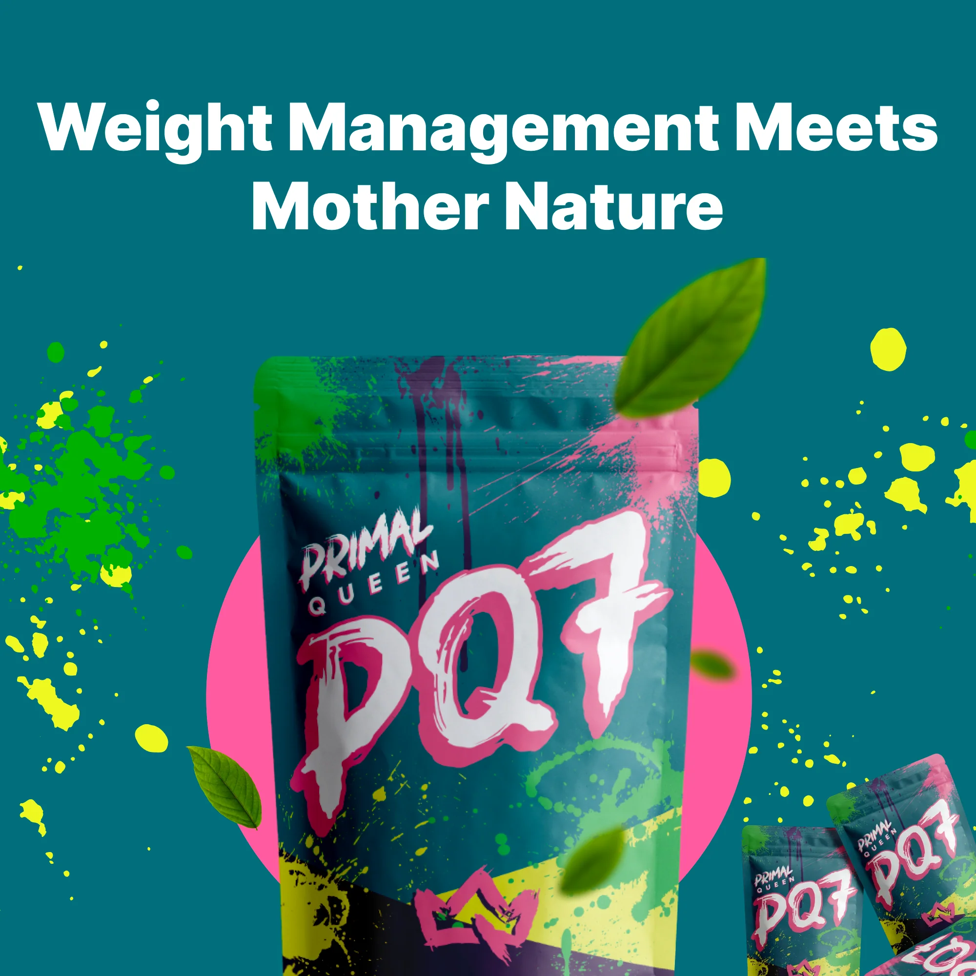 PQ7 Kit - Image 10