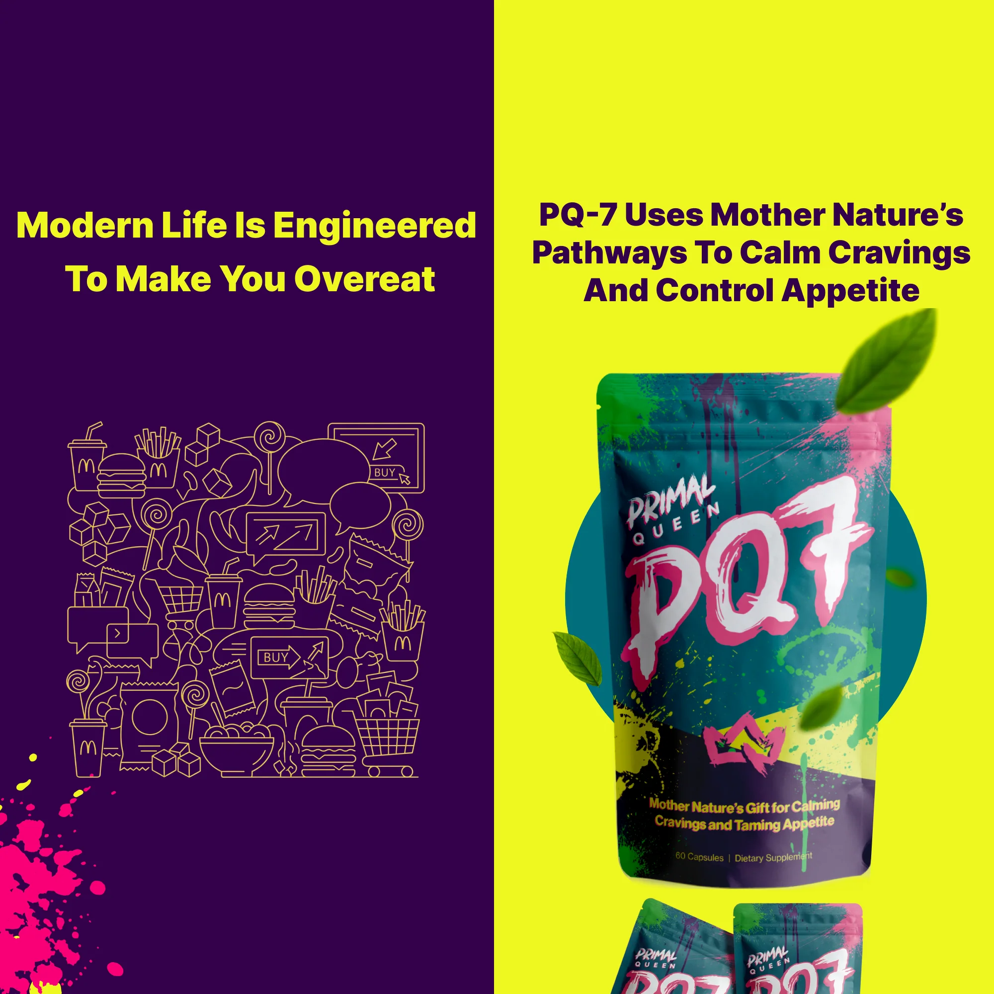 PQ7 Kit - Image 11