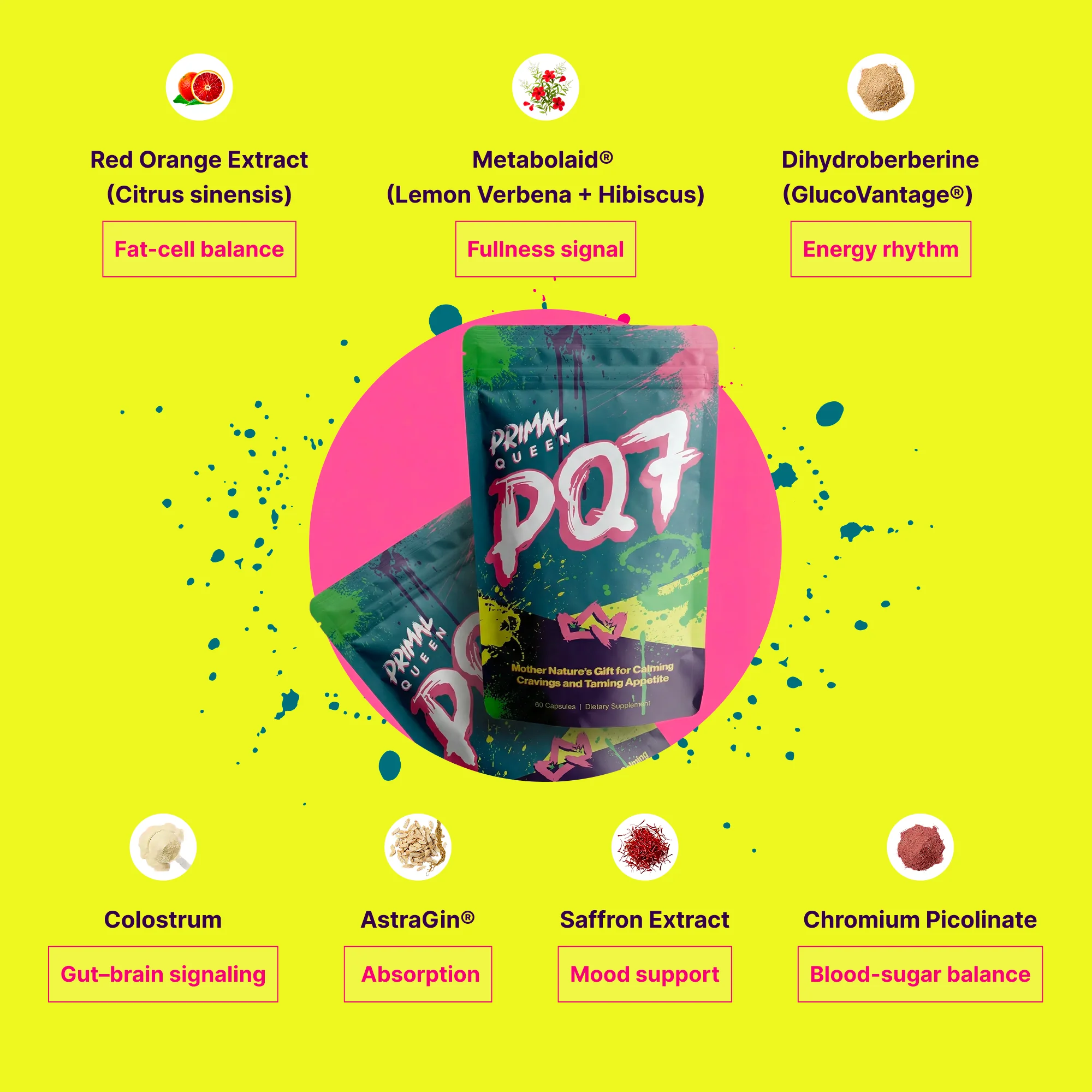 PQ7 Kit - Image 3