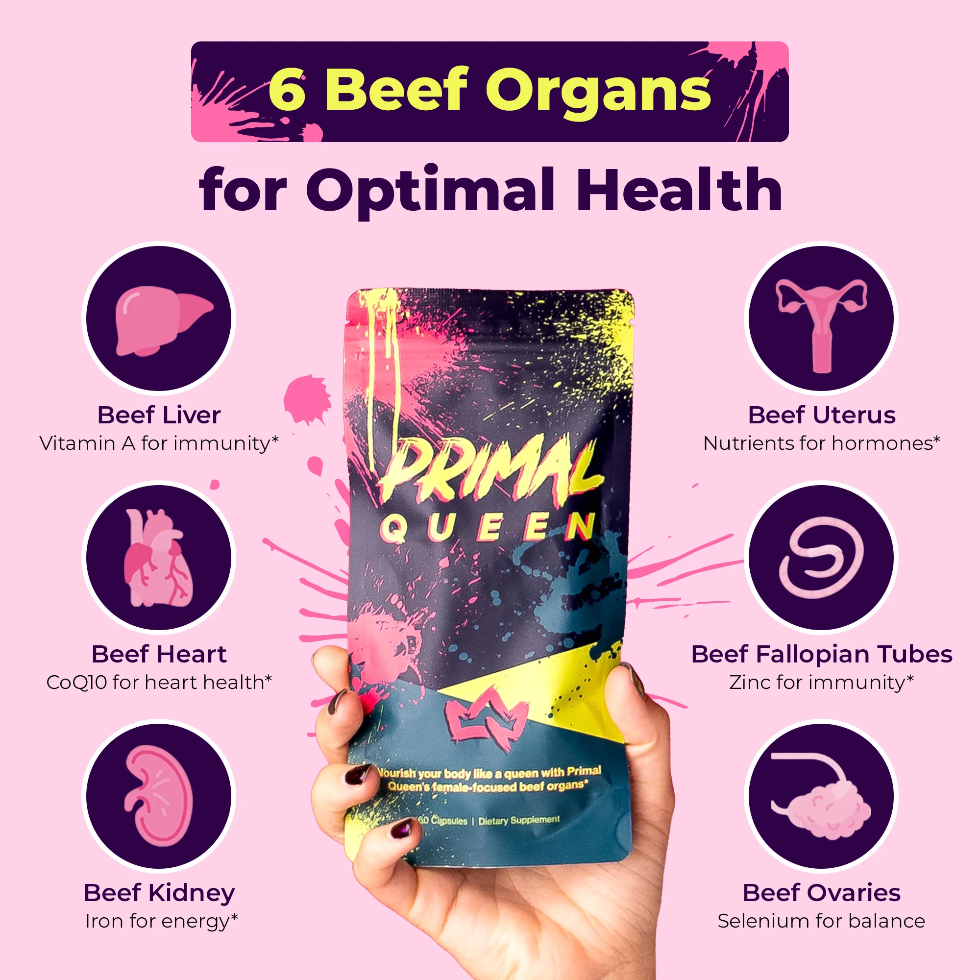 Primal Queen Starter Kit - Image 4